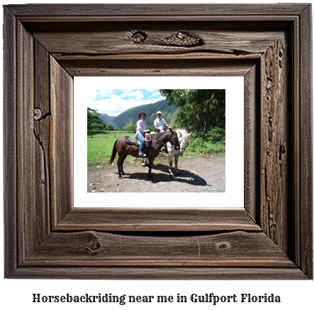 horseback riding near me in Gulfport, Florida